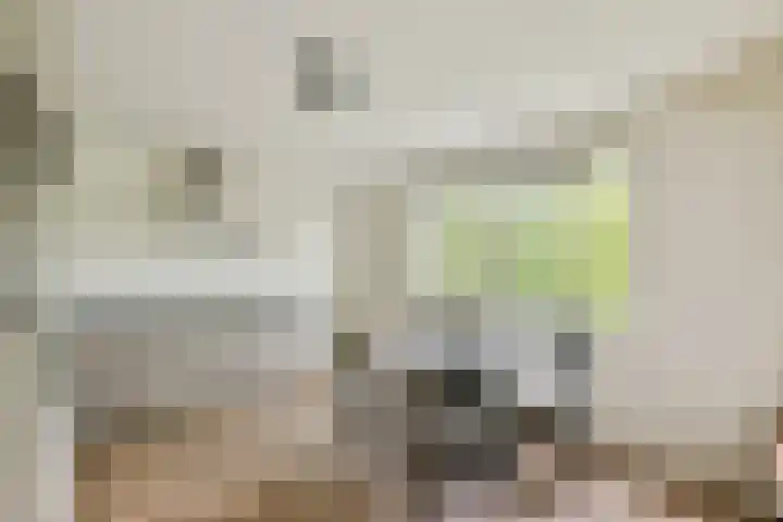 Rondeel 156 Amsterdam thumbnail 6