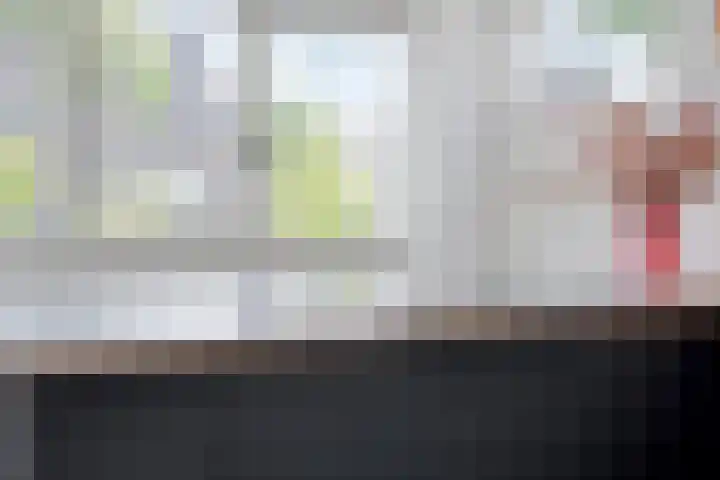 Rondeel 2 Uden thumbnail 10