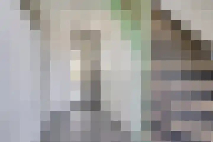 Rondeel 2 Uden thumbnail 16