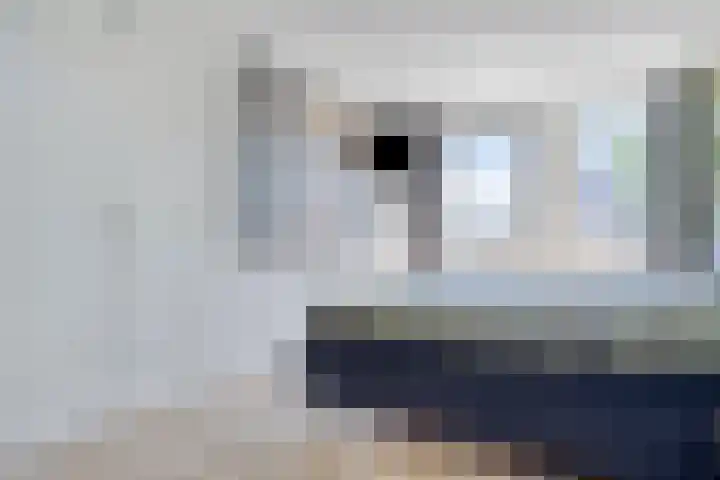 Rondeel 2 Uden thumbnail 19