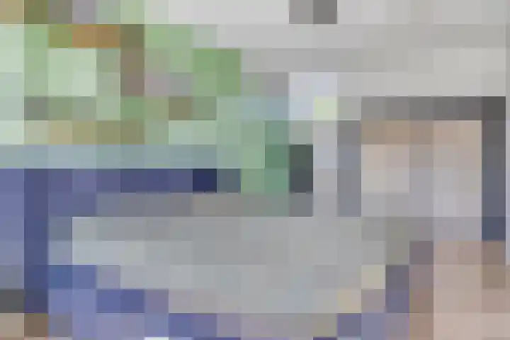 Rondeel 2 Uden thumbnail 20
