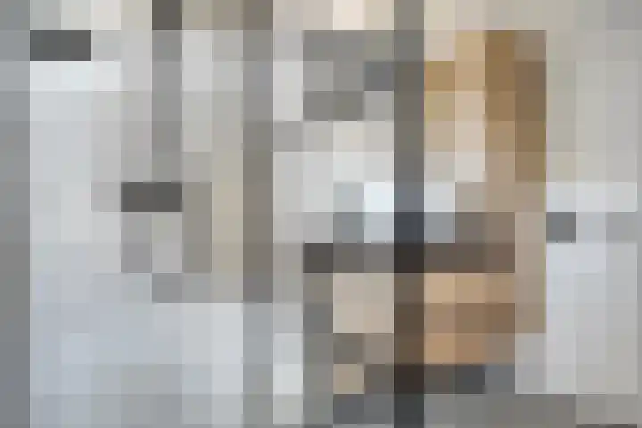 Rondeel 2 Uden thumbnail 23