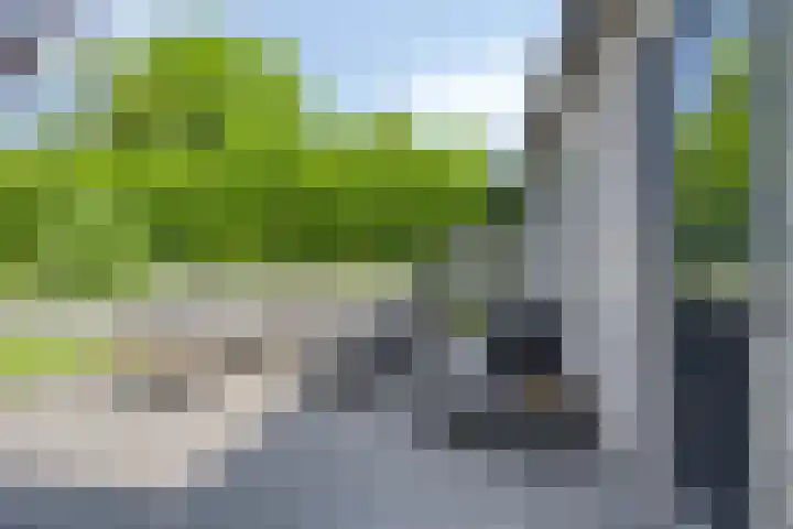 Rondeel 2 Uden thumbnail 28