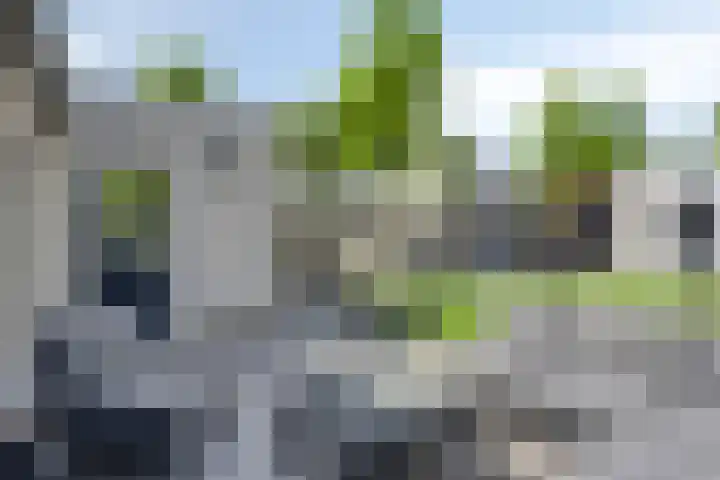 Rondeel 2 Uden thumbnail 29