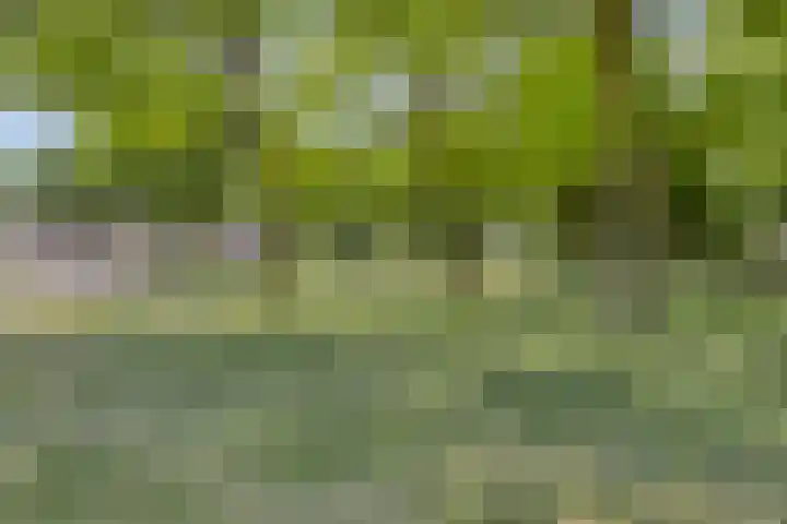 Rondeel 2 Uden thumbnail 36