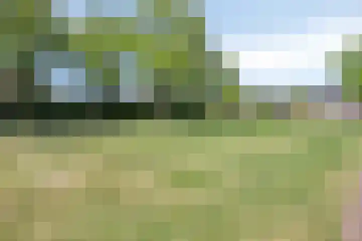 Rondeel 2 Uden thumbnail 37