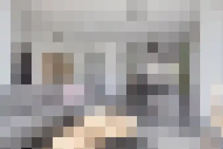 Rondeel 2 Uden thumbnail 4