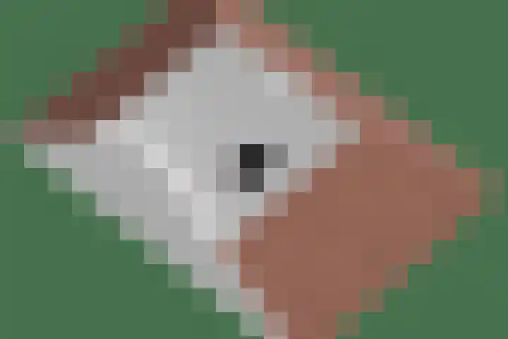 Rondeel 2 Uden thumbnail 45