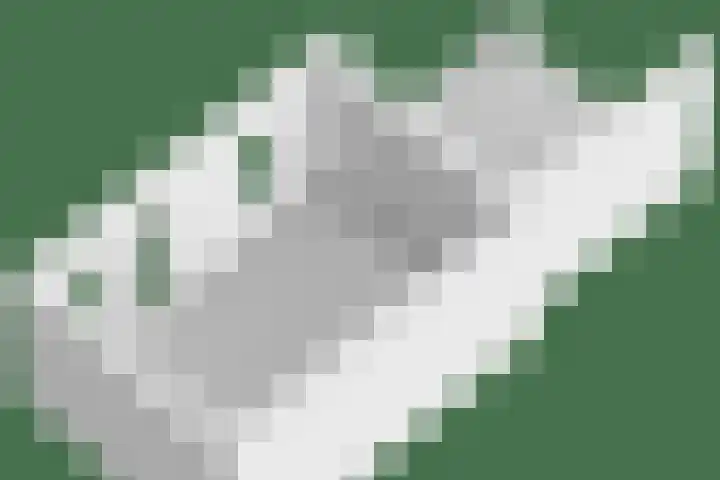 Rondeel 2 Uden thumbnail 46