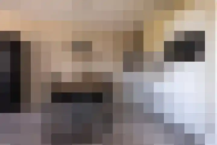 Rondel 20 Nijkerk thumbnail 25