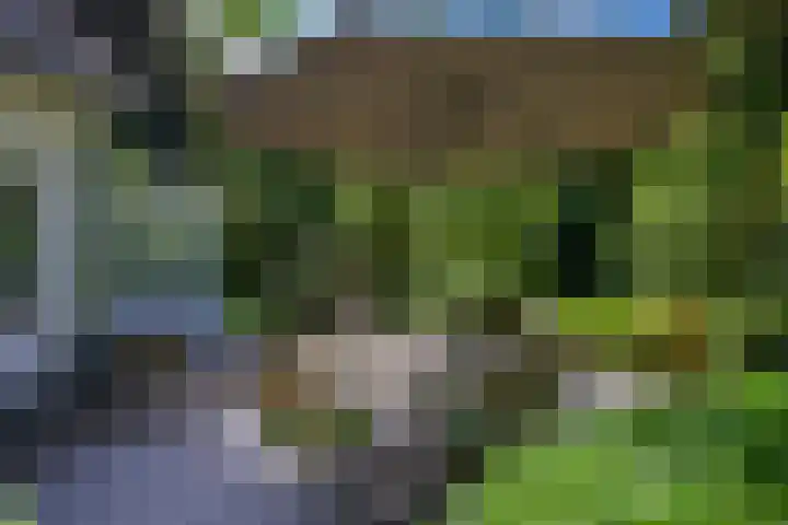 Rondeweg 16 Vught thumbnail 36