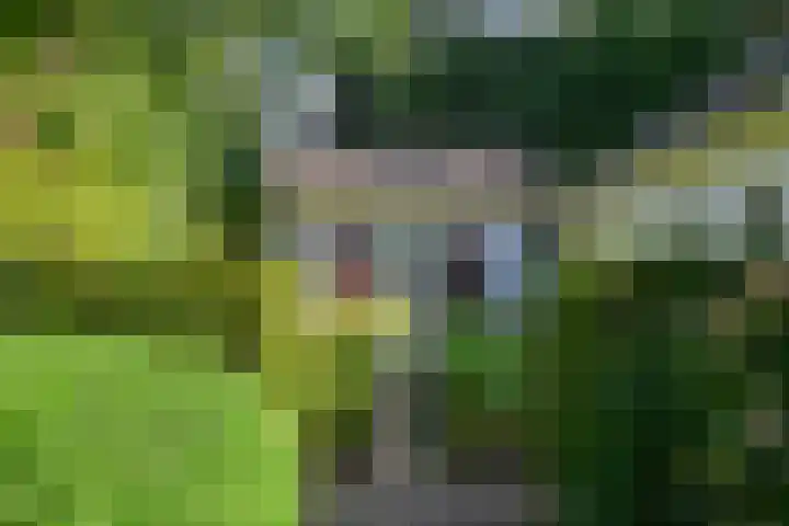 Rondeweg 16 Vught thumbnail 38