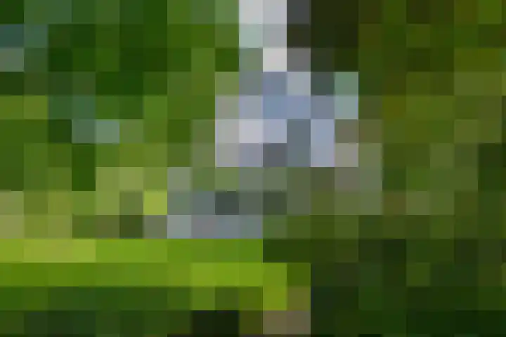 Rondeweg 16 Vught thumbnail 42