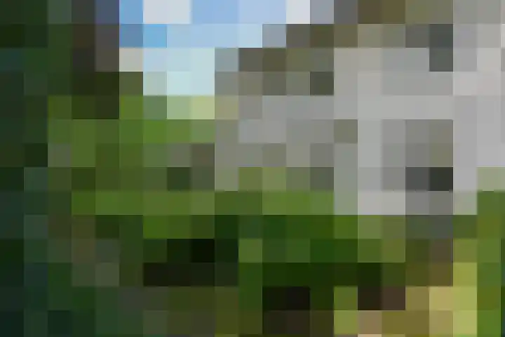 Rondeweg 16 Vught thumbnail 43