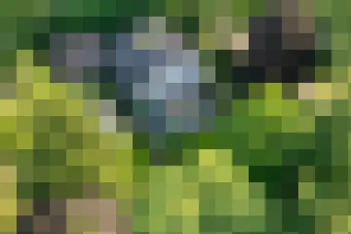Rondeweg 16 Vught thumbnail 46