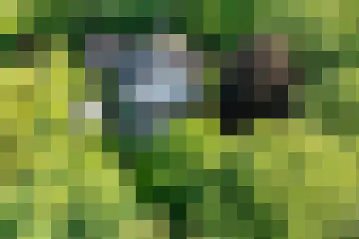 Rondeweg 16 Vught thumbnail 47