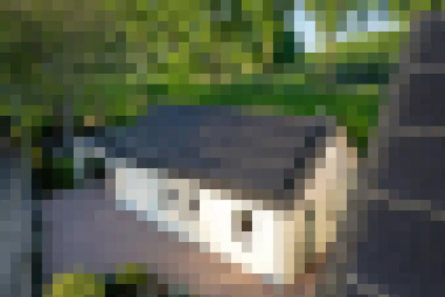 Rondeweg 4 's-Hertogenbosch thumbnail 28