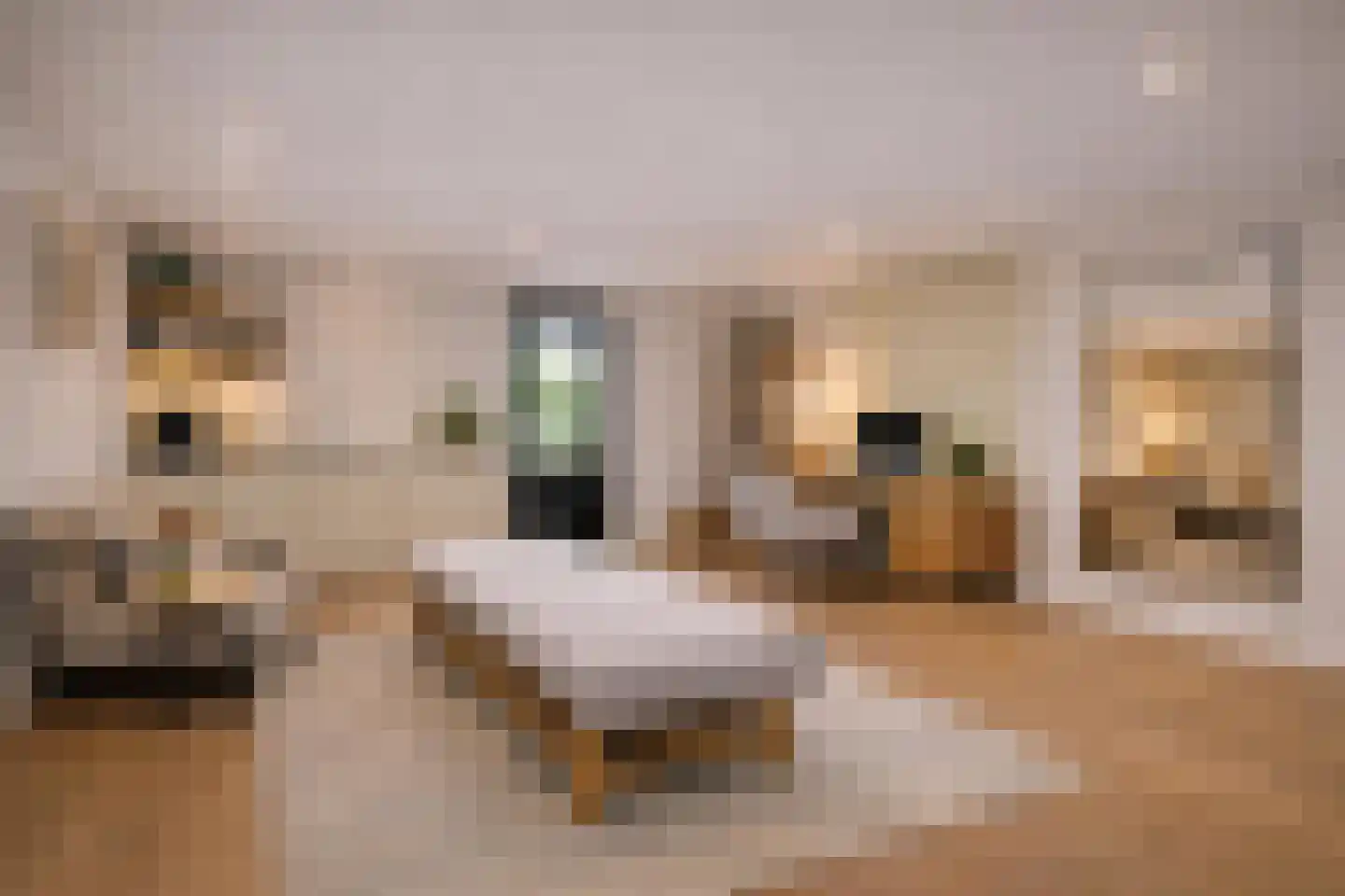 Rondeweg 4 's-Hertogenbosch thumbnail 29