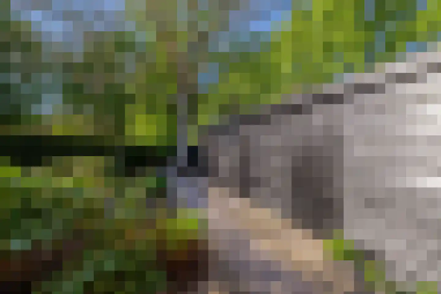 Rondeweg 4 's-Hertogenbosch thumbnail 33