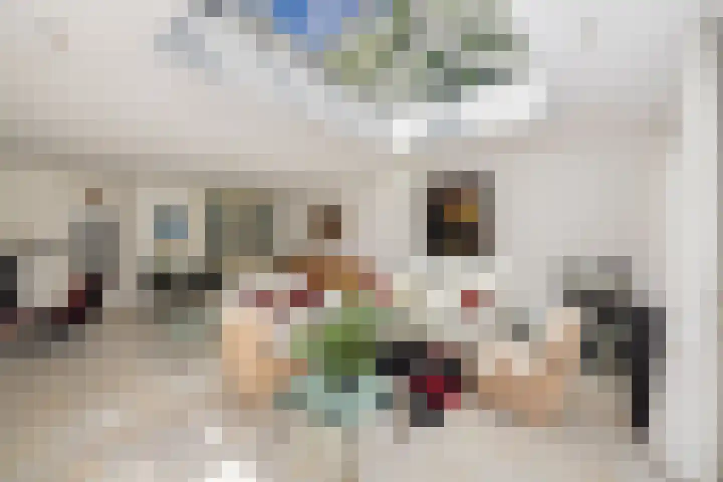 Rondeweg 4 's-Hertogenbosch thumbnail 5