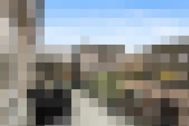 Rondist 20 Rhoon thumbnail 10