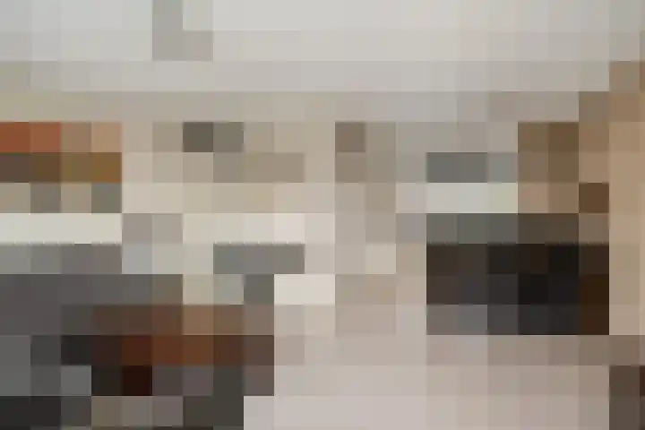 Rondist 20 Rhoon thumbnail 12
