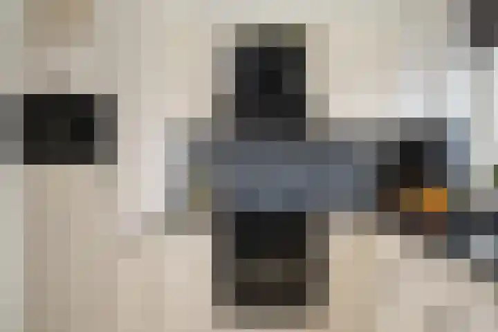Rondist 20 Rhoon thumbnail 16