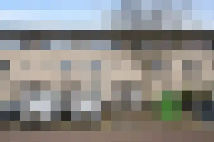 Rondist 20 Rhoon foto 2