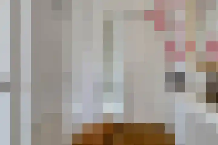 Rondsel 138 Halsteren thumbnail 13