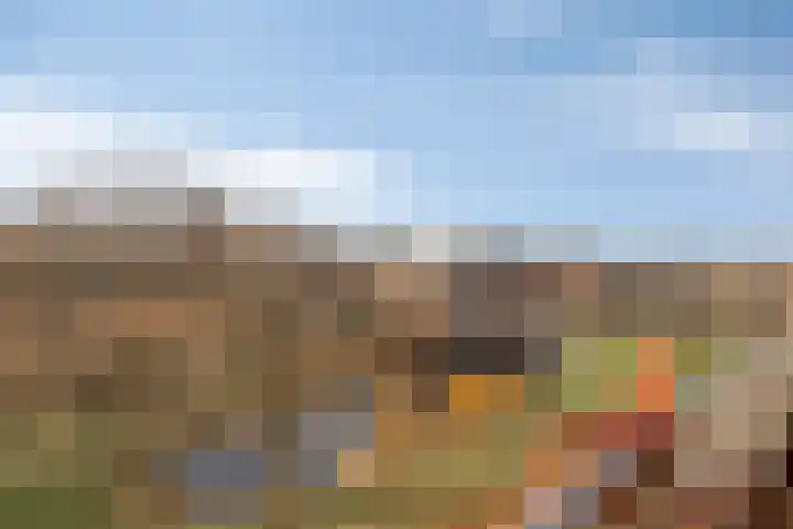 Rondsel 138 Halsteren thumbnail 23