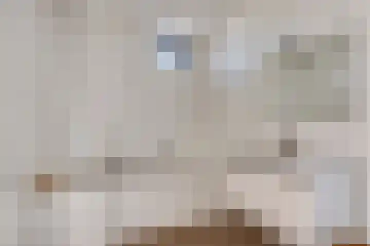 Rondsel 138 Halsteren thumbnail 35