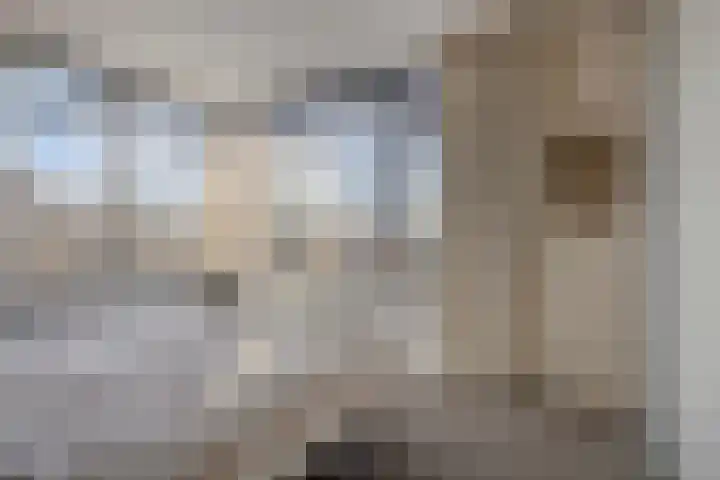 Rondsel 138 Halsteren thumbnail 5