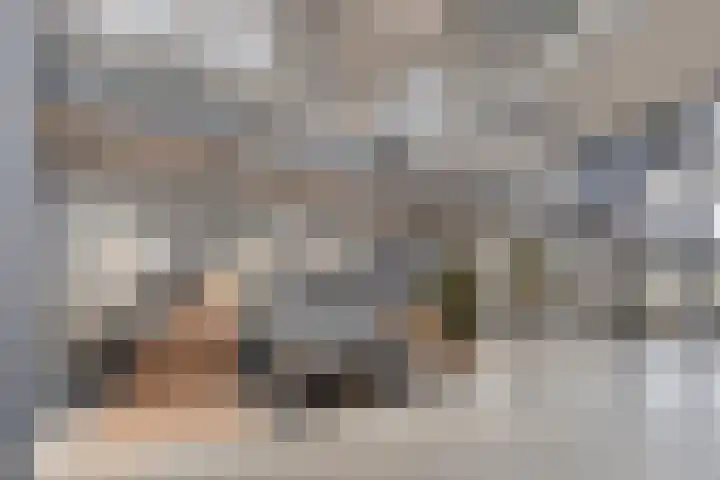 Rondsel 138 Halsteren thumbnail 7