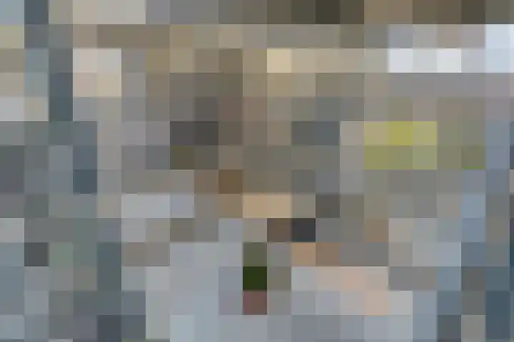 Rondsel 138 Halsteren thumbnail 9
