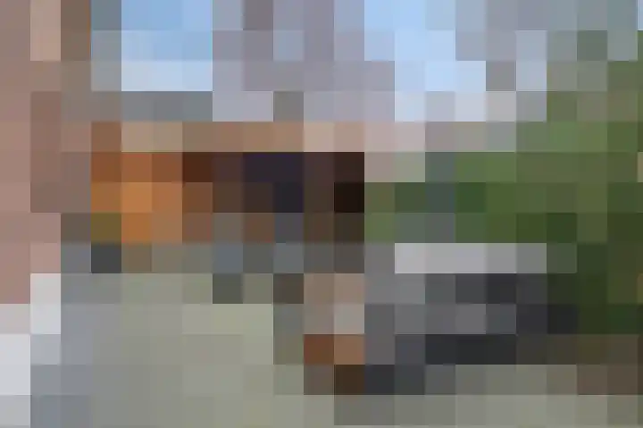 Rondstaai 1 Grevenbicht thumbnail 37