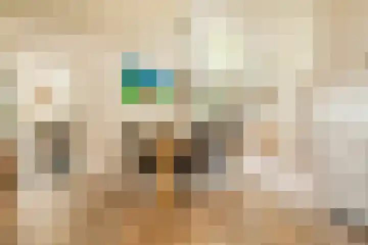 Ronduitsestraat 8 Haps thumbnail 10