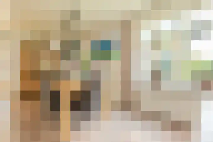 Ronduitsestraat 8 Haps thumbnail 12