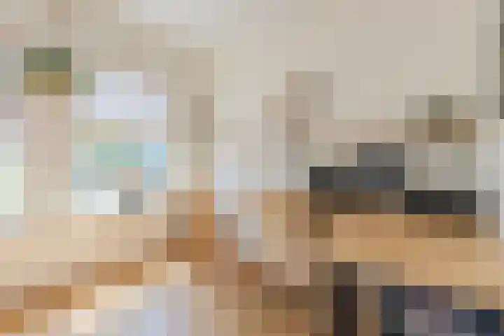 Ronduitsestraat 8 Haps thumbnail 14