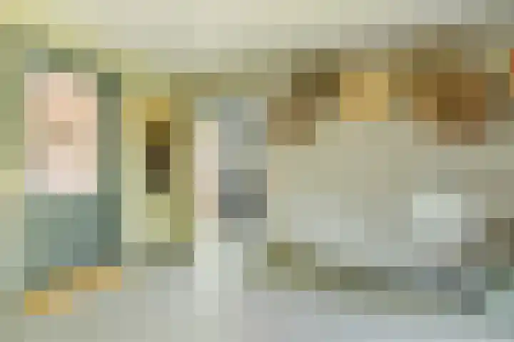 Ronduitsestraat 8 Haps thumbnail 15