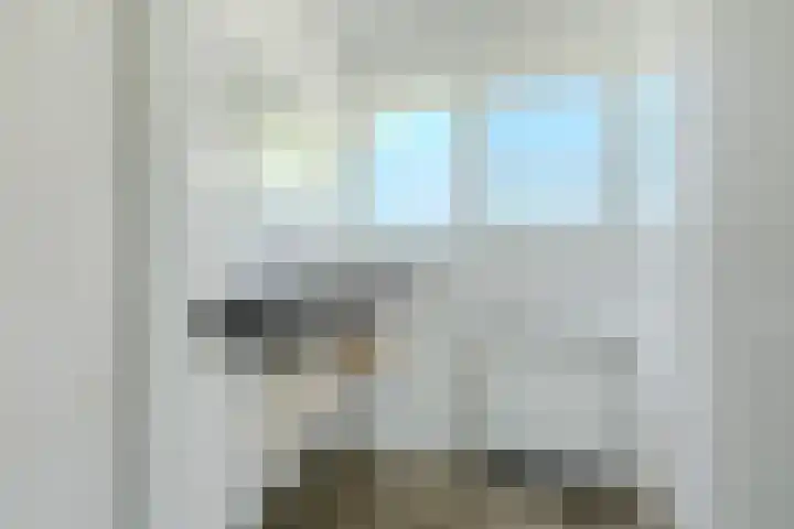 Ronduitsestraat 8 Haps thumbnail 30