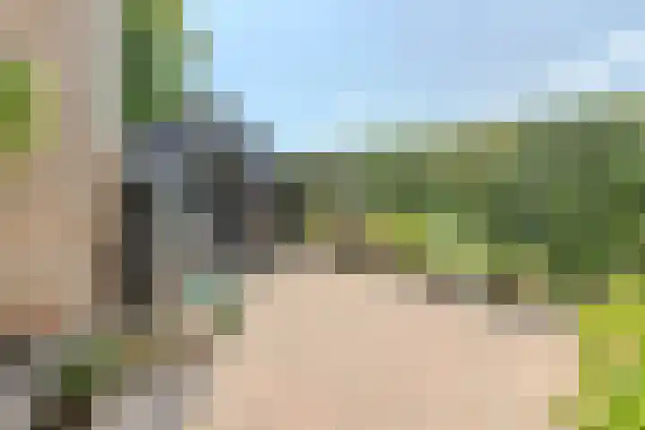 Ronduitsestraat 8 Haps thumbnail 32