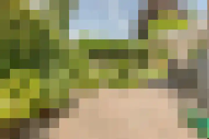 Ronduitsestraat 8 Haps thumbnail 33