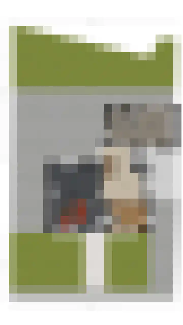 Ronduitsestraat 8 Haps thumbnail 37