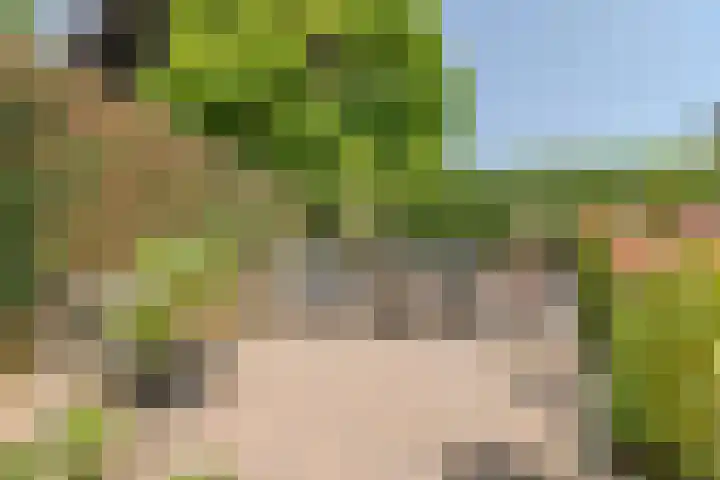 Ronduitsestraat 8 Haps thumbnail 5