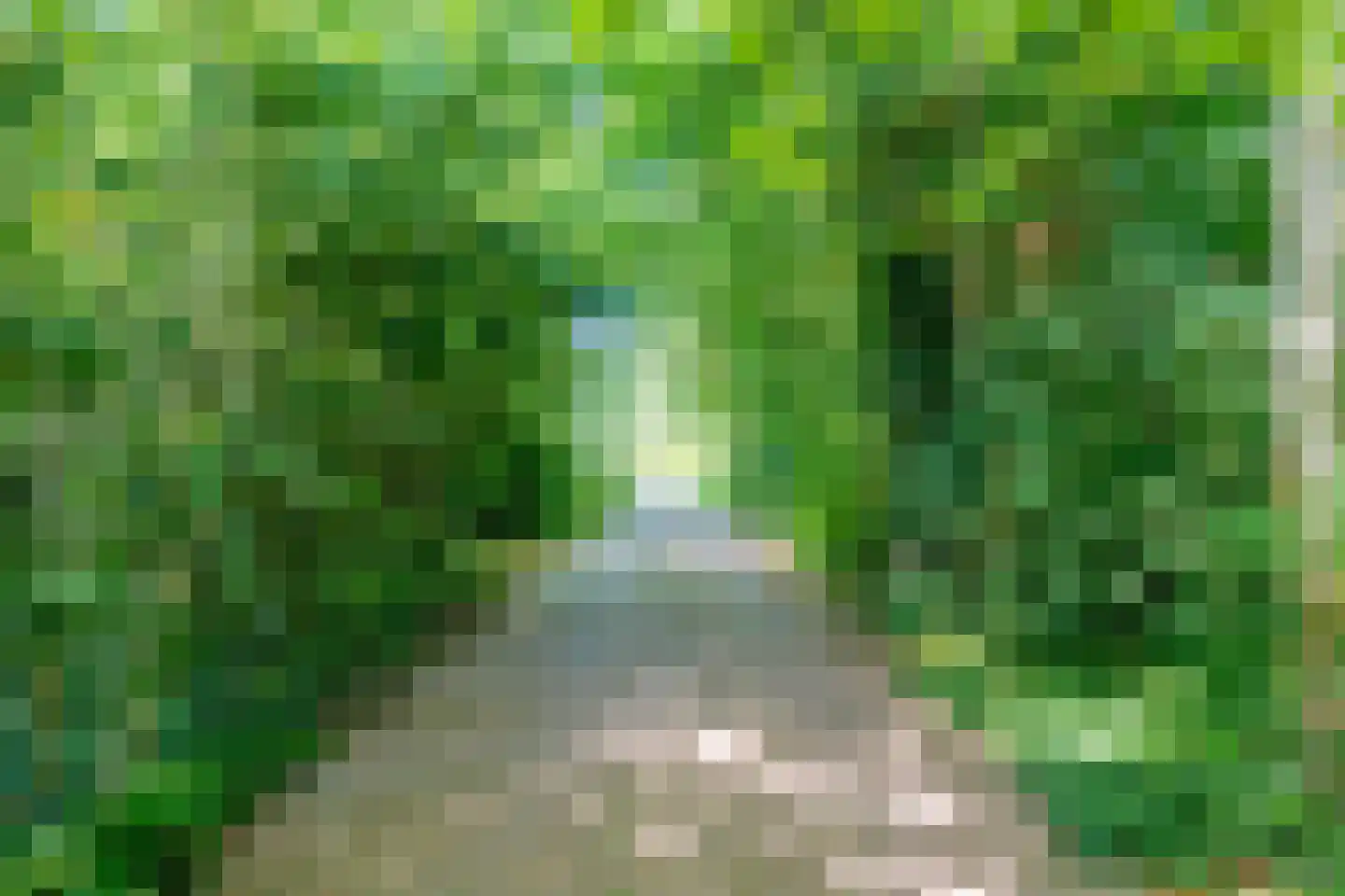 Rondweg 46 Zegveld thumbnail 34