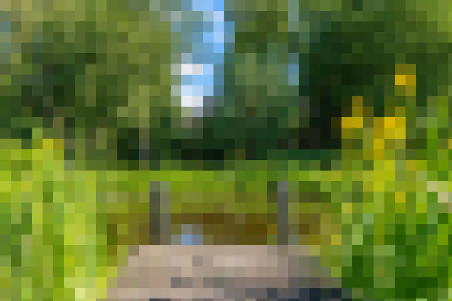 Rondweg 46 Zegveld thumbnail 36