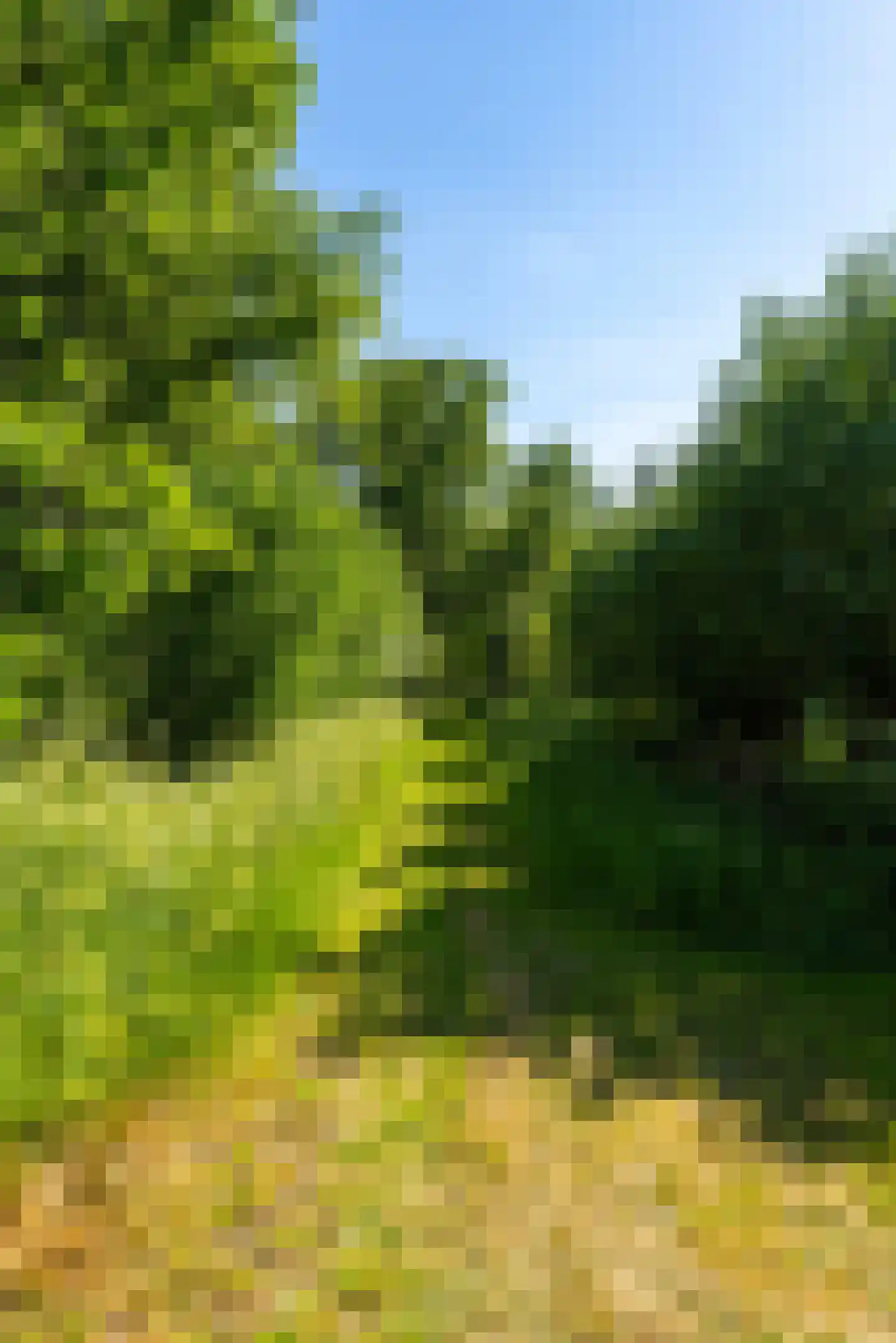 Rondweg 46 Zegveld thumbnail 39
