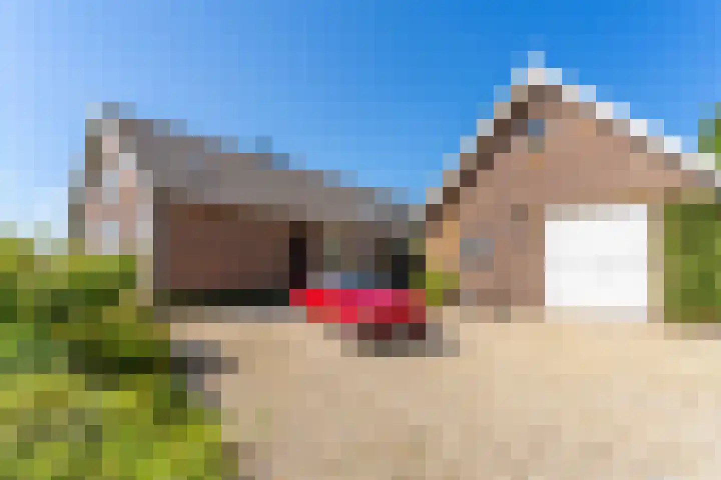 Rondweg 46 Zegveld thumbnail 7