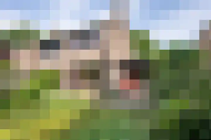 Ronerbrink 94 Emmen thumbnail 25