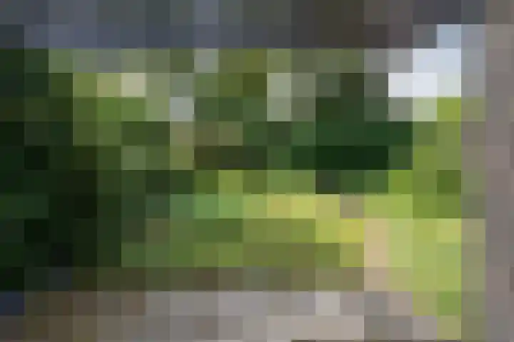 Ronerbrink 94 Emmen thumbnail 26